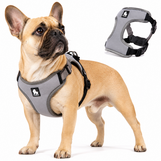 Arnes Pechera Reflectiva para Perro TrueLove