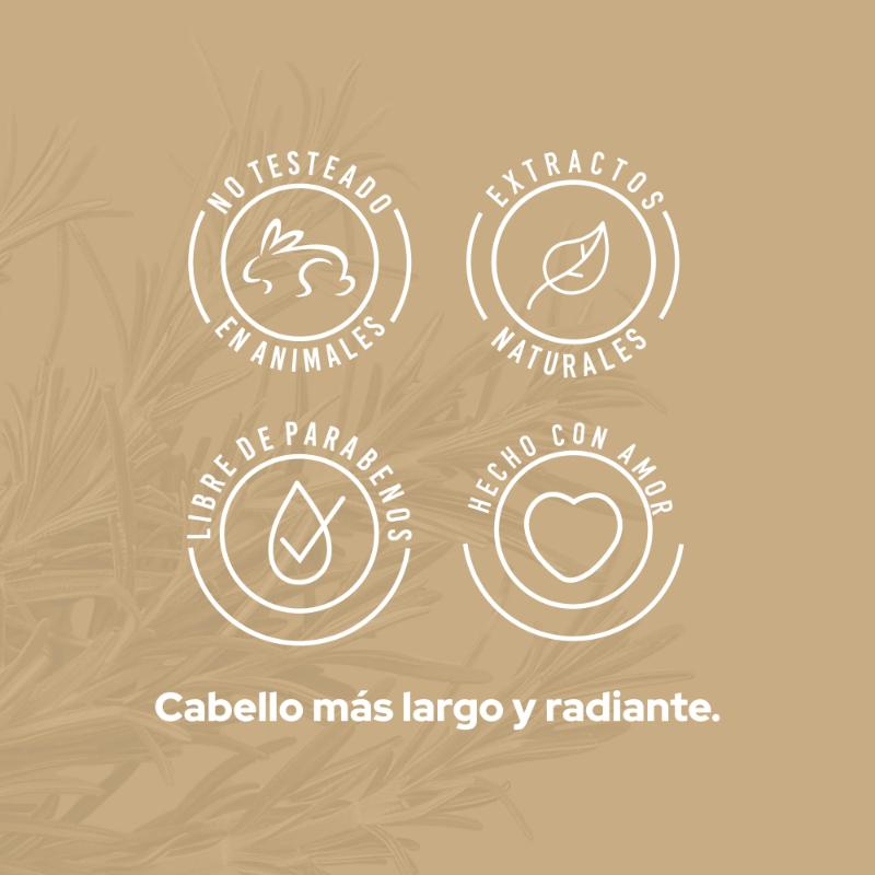 Shampoo con Romero Anyeluz